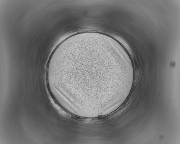 X0000096451439200802211224