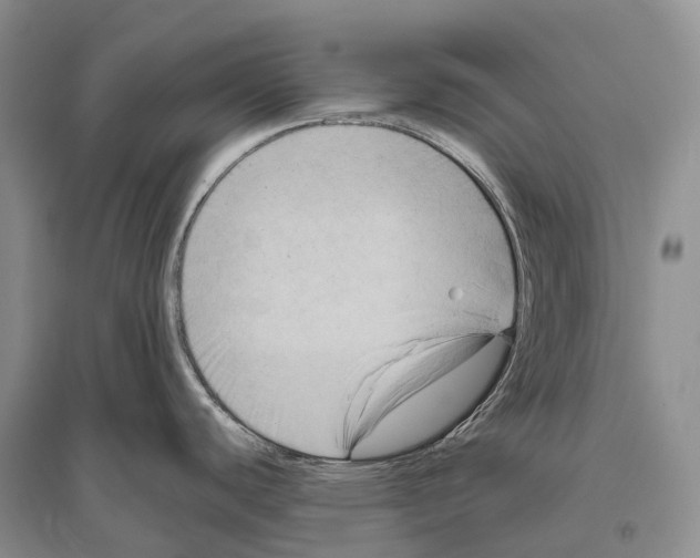 X0000096451440200802211224