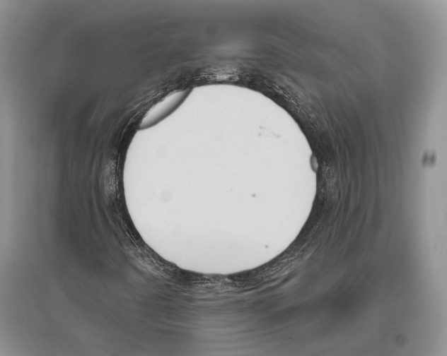 X0000096451442200802211223