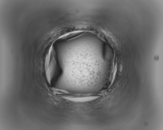 X0000096451445200802211223