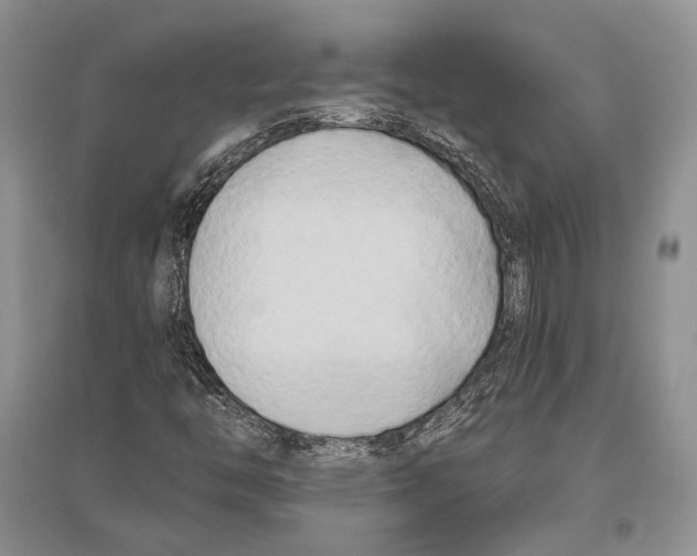 X0000096451446200802211223