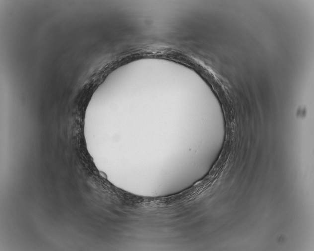 X0000096451447200802211223