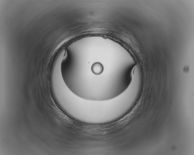 X0000096451450200802211223