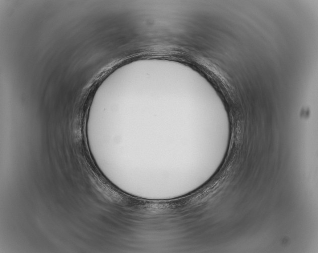 X0000096451451200802211223