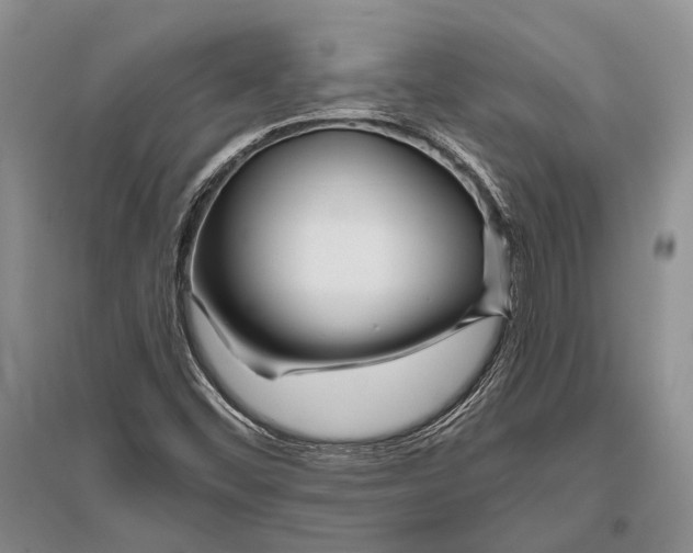 X0000096451452200802211223