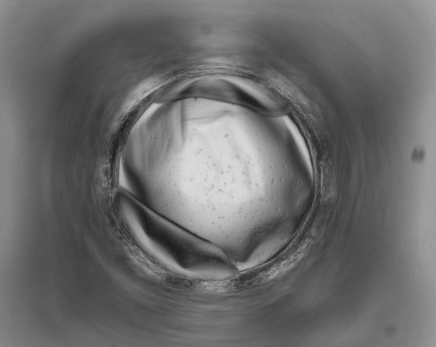 X0000096451453200802211223