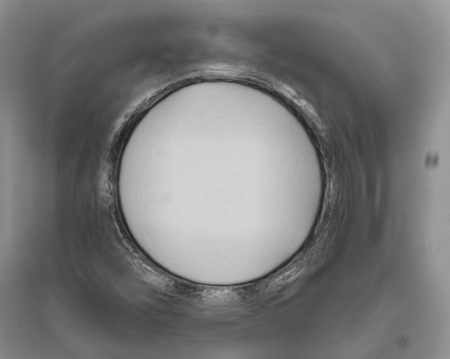 X0000096451454200802211223