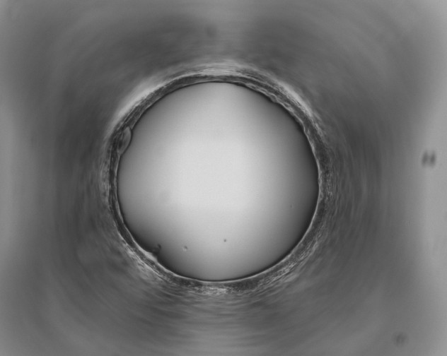 X0000096451456200802211223