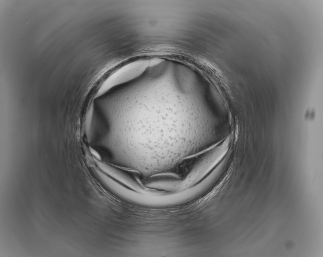 X0000096451457200802211223