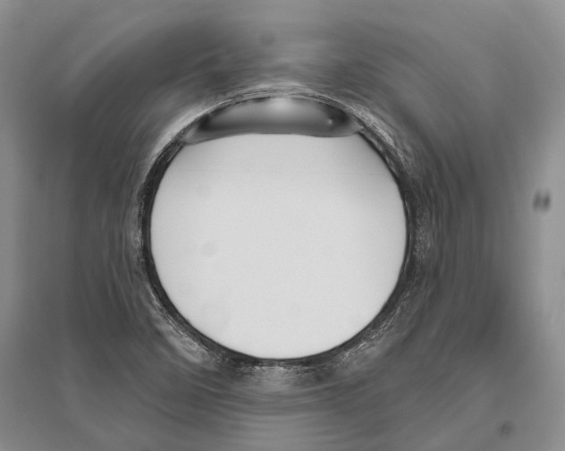 X0000096451458200802211223