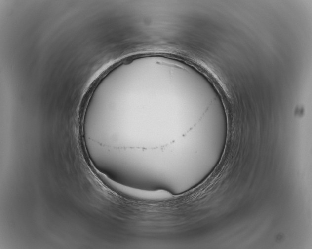 X0000096451460200802211223