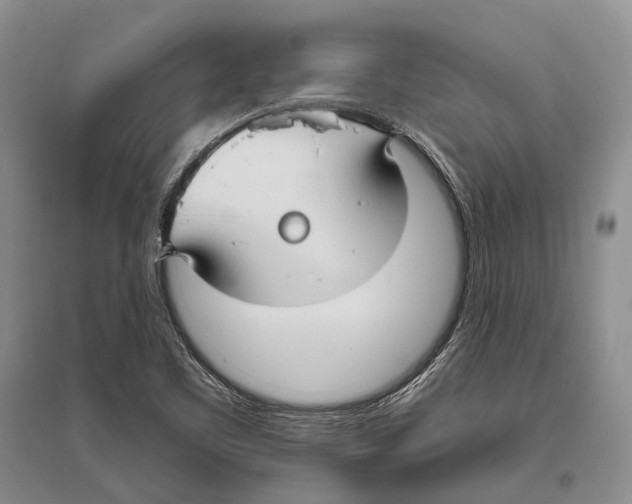 X0000096451461200802211223