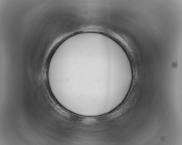 X0000096451462200802211223