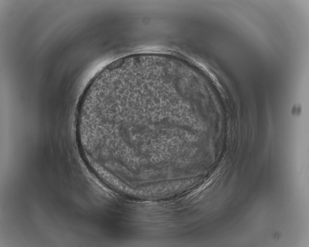 X0000096451463200802211223