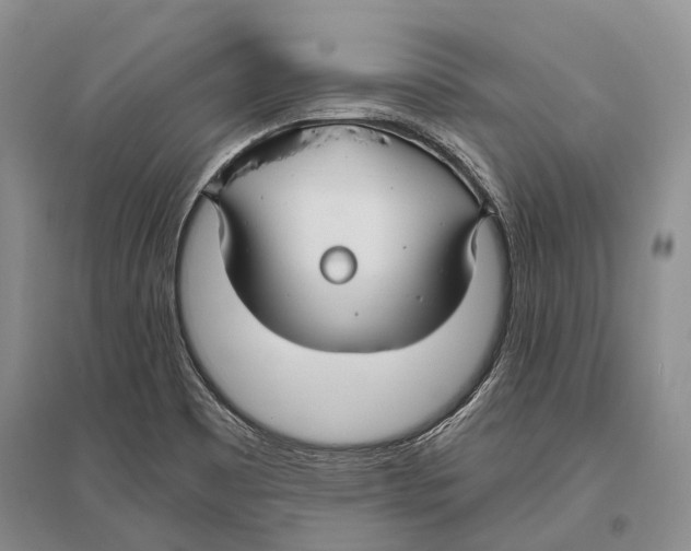 X0000096451465200802211222