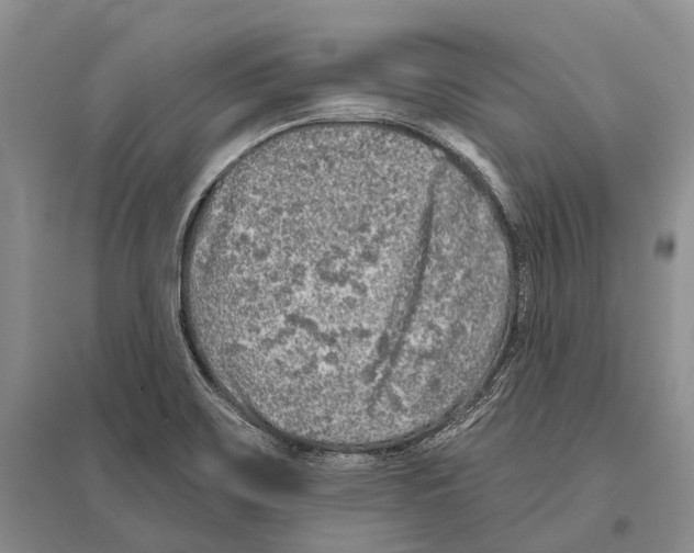 X0000096451467200802211222