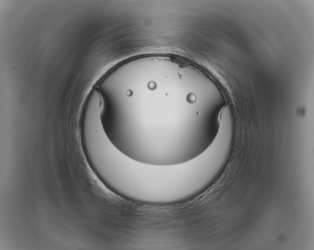 X0000096451468200802211222