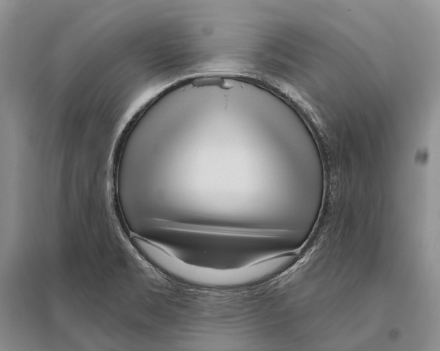 X0000096451469200802211222