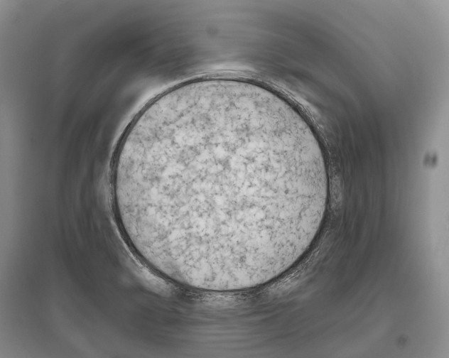 X0000096451470200802211222