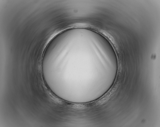 X0000096451473200802211222