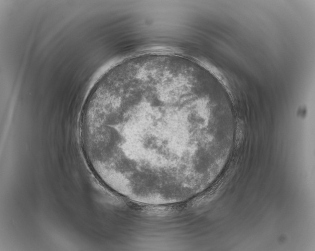 X0000096451474200802211222