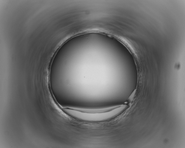 X0000096451476200802211222