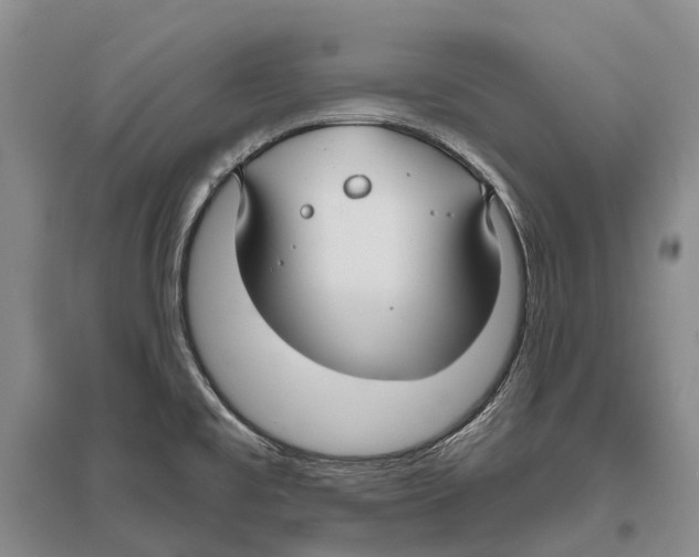 X0000096451477200802211222