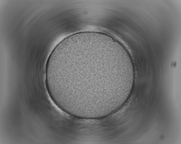 X0000096451479200802211222