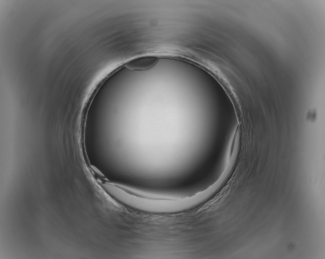 X0000096451480200802211222