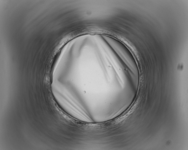 X0000096451481200802211222