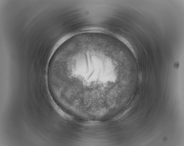 X0000096451482200802211222