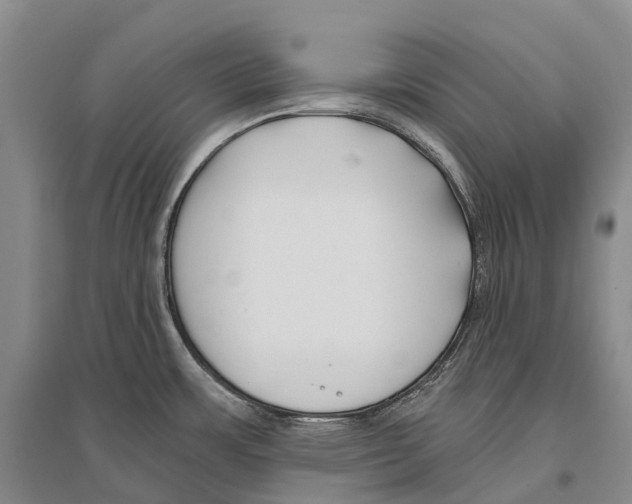 X0000096451483200802211222