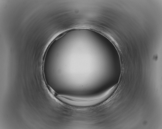 X0000096451484200802211222