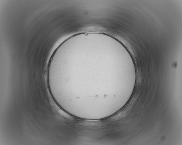 X0000096451486200802211222