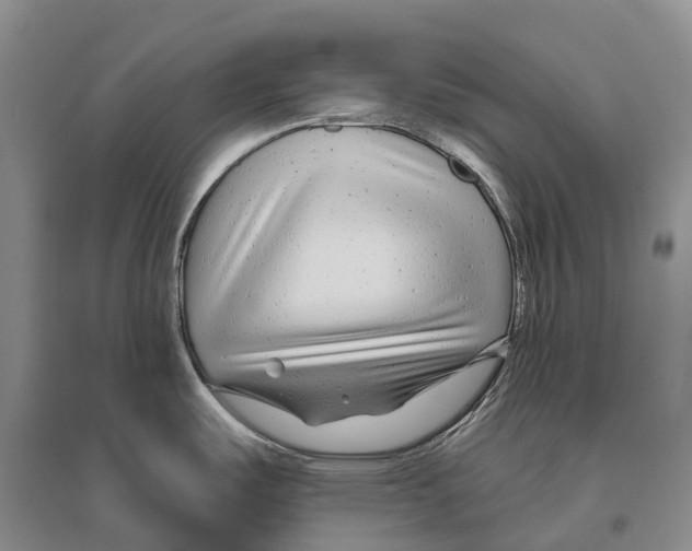 X0000096451487200802211222