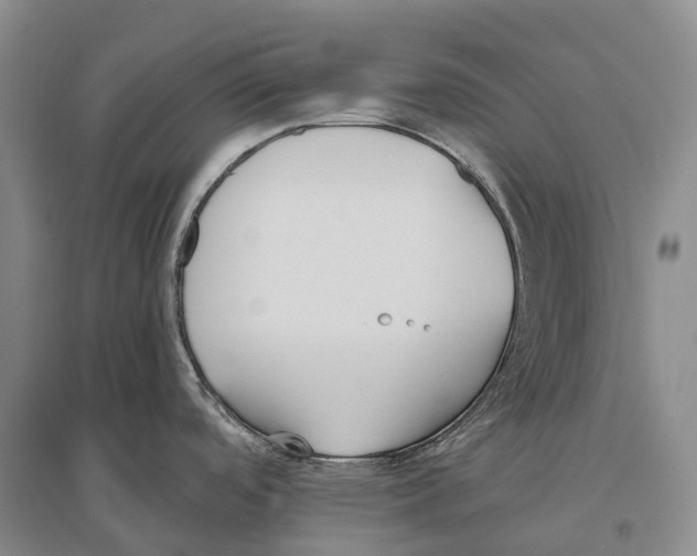 X0000096451488200802211222