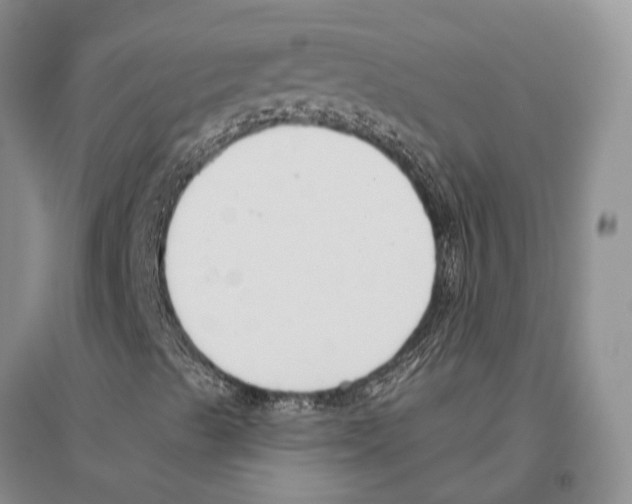 X0000096451489200802211221