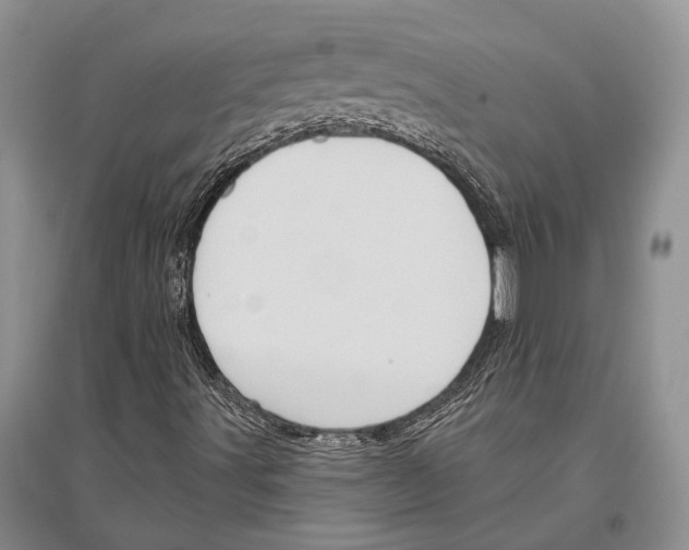 X0000096451491200802211222