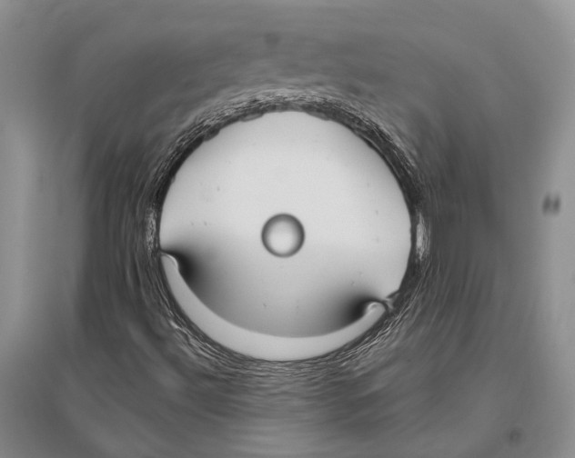 X0000096451492200802211222