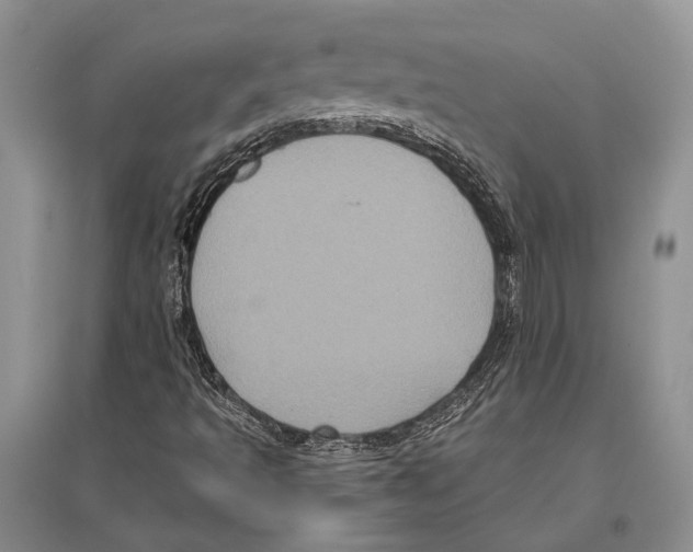 X0000096451493200802211222