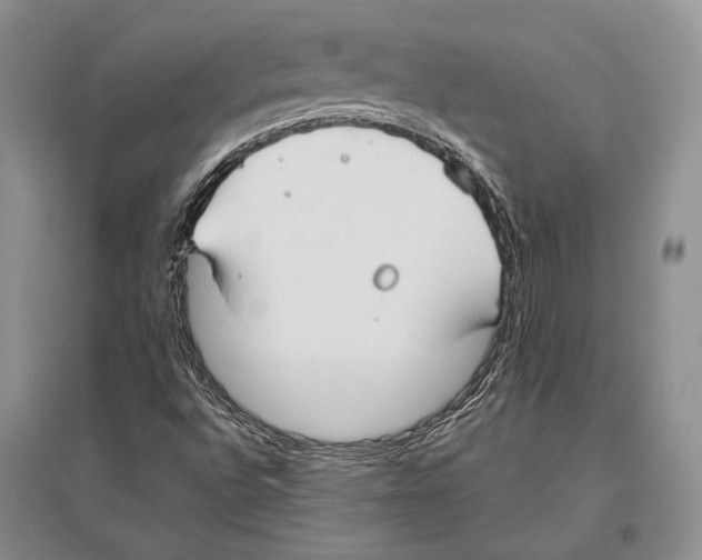 X0000096451496200802211222