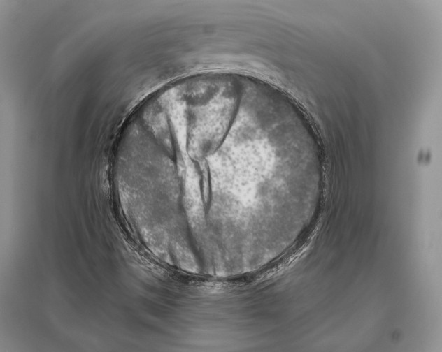 X0000096451497200802211222