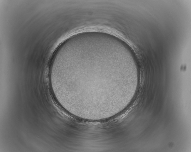 X0000096451498200802211222