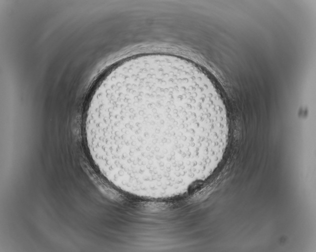 X0000096451499200802211222