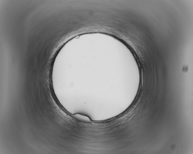 X0000096451500200802211222