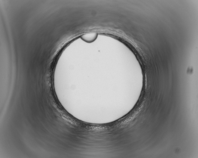 X0000096451501200802211222