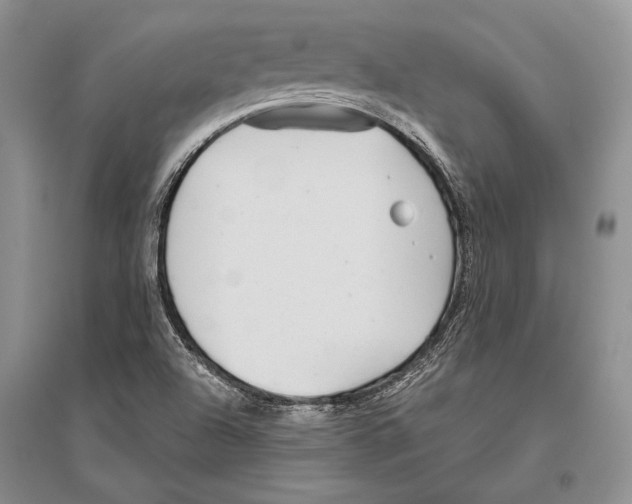 X0000096451504200802211222