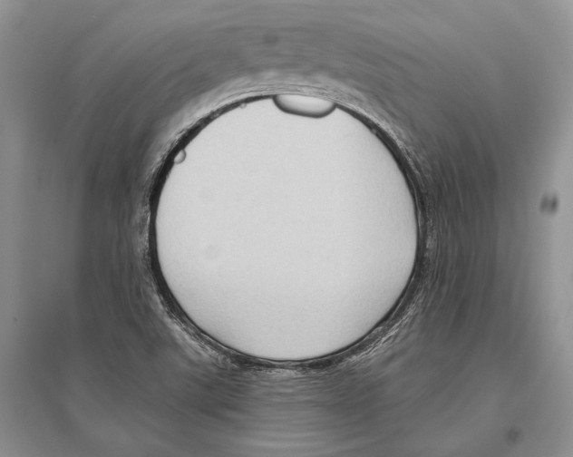 X0000096451507200802211222