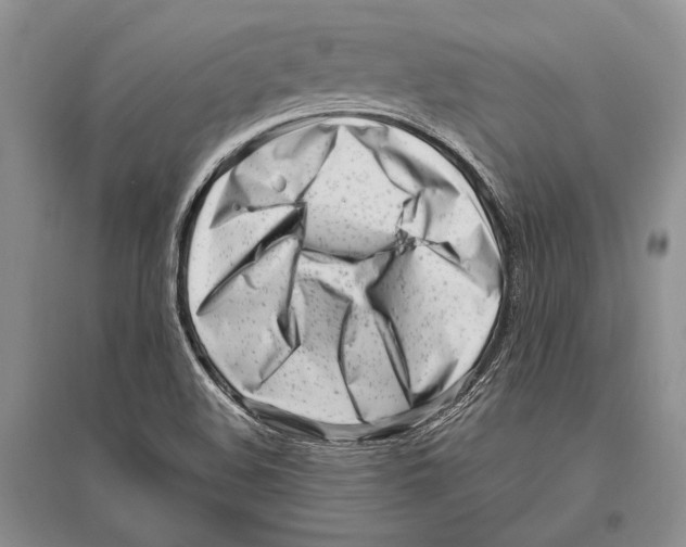 X0000096451508200802211222