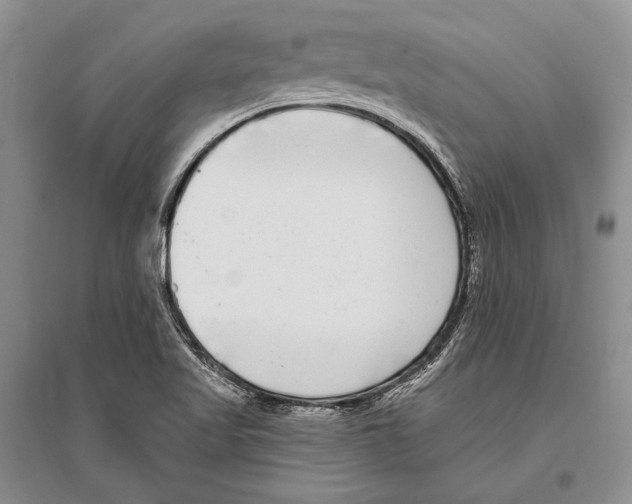 X0000096451509200802211222